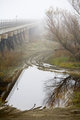 Yolo Bypass 1396