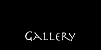 View the gallery